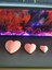 Iv Blue Purple Hearted Pembe 3 Boy Kalpli Mum 1