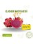 EJDER MEYVESİ Ejder Meyvesi (Dragon Fruit) ( 1 Adet) 1
