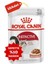 Instinctive Gravy Kedi Konservesi 12X85GR 12LI 1