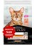 Derma Care Somonlu Yetişkin Kedi Maması 10KG 1