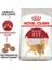 Fit 32 Yetişkin Kedi Maması 2kg 2