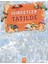 Nerede Bu Mirketler - Mirketler Tatilde / Gizlenmiş Mirketleri Bul 1