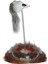 Flamingo Kediler Için Yaylı Fare Oyuncağı 26X14CM 1