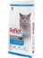 Hamsili Yetişkin Kedi Maması 15KG 1