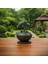 Dekoratif Bonsai Saksı 2