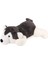 Bfs 4640 Sibirya Kurdu 45 Cm-Emy Grup 1