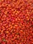 Kuşburnu (Marmelatlık) Yeni Mahsul Kuş Burnu 400 gr 1