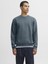 Jjebradley Crewneck Sweat | Günlük Erkek Sweatshirt 1