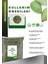 Kabak Çekirdeği Içi Çiğ 500G- Raw Pumpkin Seeds 3
