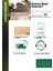 Kabak Çekirdeği Içi Çiğ 500G- Raw Pumpkin Seeds 4