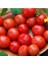 20 Adet Riesentraube Domates Tohumu 1