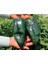 20 Adet Ancho / Poblano Biber Tohumu 1