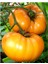 Nadir Ithal Iri Turuncu Domates Tohumu 10 Adet Tohum 1