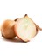 Agrobazaar Onion Soğan* 50+ Tohum 1