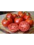 20 Adet Better Boy Domates Tohumu 1