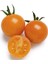 Ithal Nadit Cherry Turuncu Domates Tohumu 20 Adet Tohum 1