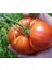 20 Adet Beefsteak Domates Tohumu 1
