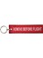 Remove Before Flight Anahtarlık 1