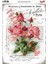 6336 Vintage Kolay Transfer 23X33 cm 1