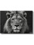 Aslan Portresi - Siyah Beyaz Asaletin Yüzü Kanvas Tablo 2