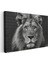 Aslan Portresi - Siyah Beyaz Asaletin Yüzü Kanvas Tablo 3