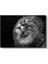 Asil Aslan - Yukarı Bakan Siyah Beyaz Portre Kanvas Tablo 2