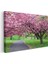 Kiraz Çiçeği Ağaçları - Bahar Parkı Manzarası Kanvas Tablo 3