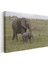 Anne ve Yavru Fil - Doğada Sevgi Bağı Kanvas Tablo 3
