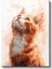 Meraklı Kedi - Yukarı Bakan Turuncu Tüylü Dost Kanvas Tablo 2