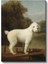 George Stubbs - Beyaz Köpek Portresi Kanvas Tablo 2