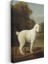 George Stubbs - Beyaz Köpek Portresi Kanvas Tablo 3