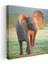 Yavru Fil - Savana Çayırlarının Sevimli Gezgini Kanvas Tablo 3