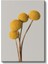 Minimalist Krizantem - Modern Sarı Yuvarlak Çiçek Kanvas Tablo 2