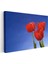 Kırmızı Laleler - Mavi Gökyüzü Altında Bahar Çiçekleri Kanvas Tablo 3