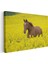 Çiçek Tarlasında At - Sarı Güzellikler Arasında Kanvas Tablo 3