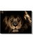 Aslan Yüzü - Karanlıkta Parlayan Gözlü Ormanlar Kralı Kanvas Tablo 2