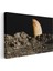 Ay Manzarası - Ufukta Yükselen Gezegen Kanvas Tablo 3