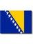 Bosna Hersek Bayrağı - Kanvas Tablo 2