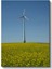 Rüzgar Türbini - Sarı Çiçek Tarlasında Yükselen Enerji Kanvas Tablo 2