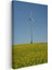 Rüzgar Türbini - Sarı Çiçek Tarlasında Yükselen Enerji Kanvas Tablo 3
