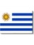 Uruguay Bayrağı - Kanvas Tablo 2
