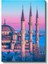 Sultanahmet Camii - Pembe Gökyüzü Kanvas Tablo 2