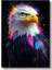 Renkli Kartal - Canlı Renk Sıçramalı Yırtıcı Kuş Kanvas Tablo 2