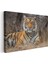 Bengal Kaplanı - Kuru Otlar Arasında Asil Duruş Kanvas Tablo 3