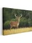 Boynuzlu Geyik - Altın Sarısı Çayırda Heybetli Bekleyiş Kanvas Tablo 3