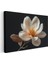 Magnolya Çiçeği - Siyah Zeminde Detaylı Botanik Illüstrasyon Kanvas Tablo 3