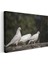 Güvercin Üçlüsü - Beyaz Kuşlar Topluluğu Kanvas Tablo 3