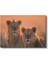Aslan Çifti - Gün Batımında Iki Kral Kanvas Tablo 2
