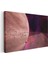 Gezegen Yörüngesi - Pembe Tonlarda Kozmik Manzara Kanvas Tablo 3