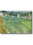 Vincent Van Gogh - Auvers'deki Evler Kanvas Tablo 2